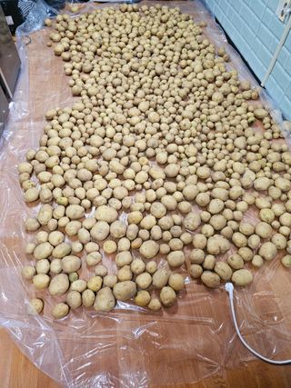 Bmww2226님의 자유주제 · 자유게시판 작성글 사진