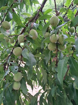 최한기님의 ☔️장마 대비 하셨나요? · 참여글 작성글 사진
