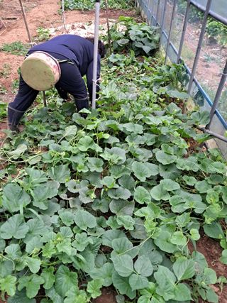 최한기님의 ☔️장마 대비 하셨나요? · 참여글 작성글 사진