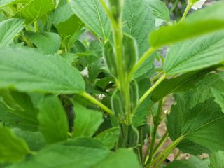 김순례님의 자유주제 · 자유게시판 작성글 사진