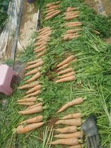 팜모닝 ☔️장마 대비 하셨나요?·참여글 게시글 이미지