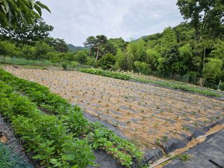배영순님의 자유주제 · 자유게시판 작성글 사진