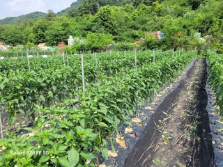 hkte님의 자유주제 · 자유게시판 작성글 사진