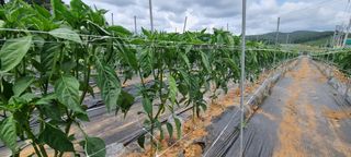 이상직님의 자유주제 · 자유게시판 작성글 사진