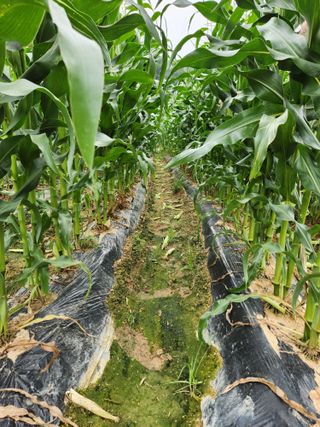 약도라지6018님의 자유주제 · 자유게시판 작성글 사진