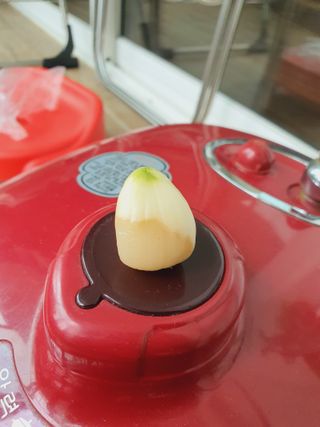 김종웅님의 마늘 · 병해충상담 작성글 사진