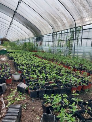 팜모닝회원 최창락 님의 자유주제 · 자유게시판 작성글 사진