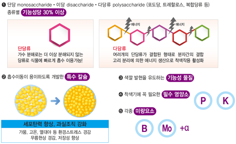 한농농약종묘사님의 장터 판매 상품 [단맛 높여주는 영양제 (과일,채소 친환경당도향상제)] 첨부 사진