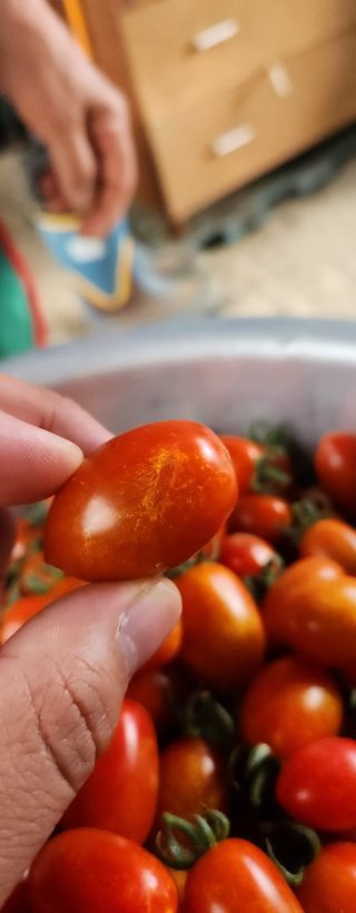 유호준님의 농사, 무엇이든 물어보세요! · 참여글 작성글 사진