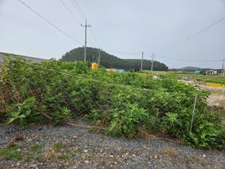 덕성호님의 기타작물 · 영농일지 작성글 사진