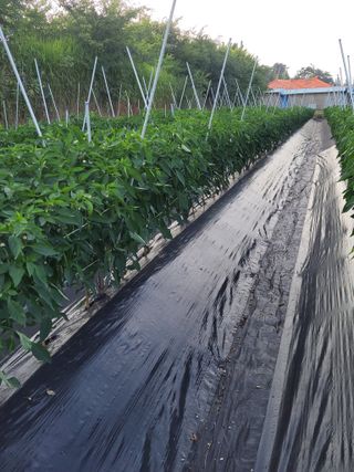 김종옥님의 자유주제 · 자유게시판 작성글 사진