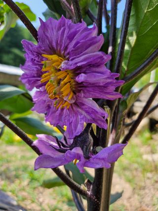 영숙님의 자유주제 · 자유게시판 작성글 사진