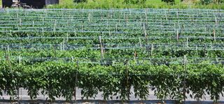 중청3595님의 자유주제 · 자유게시판 작성글 사진