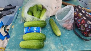 이서구님의 자유주제 · 자유게시판 작성글 사진