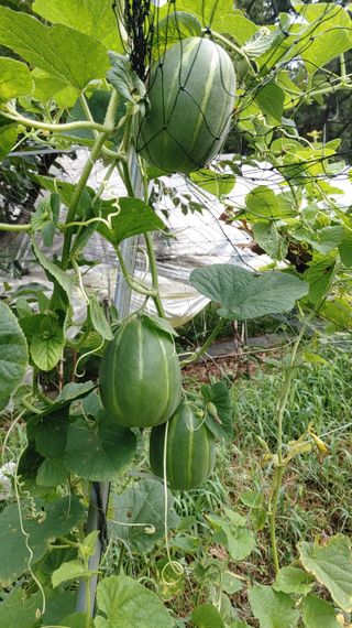 박상현님의 자유주제 · 사진전 작성글 사진