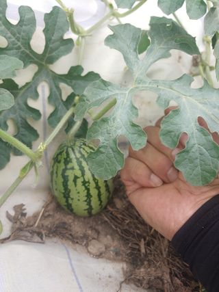 박상현님의 자유주제 · 사진전 작성글 사진