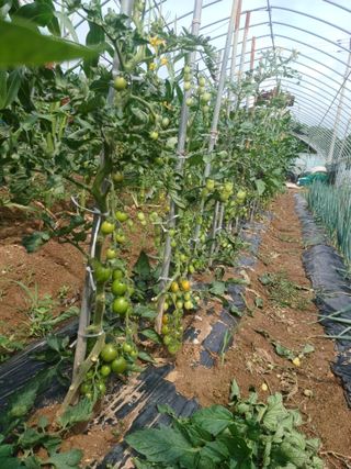 알 수 없음님의 자유주제 · 자유게시판 작성글 사진