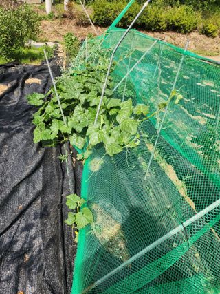 딸기2361님의 자유주제 · 자유게시판 작성글 사진