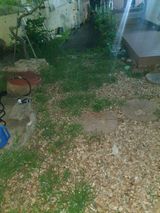 팜모닝 자유주제·자유게시판 게시글 이미지