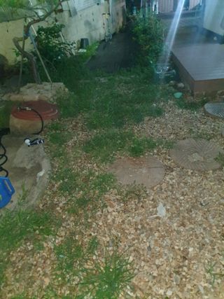 귀농은어렵다.님의 자유주제 · 자유게시판 작성글 사진