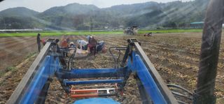 나으살던고향님의 자유주제 · 자유게시판 작성글 사진