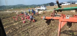 나으살던고향님의 자유주제 · 자유게시판 작성글 사진