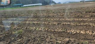 나으살던고향님의 자유주제 · 자유게시판 작성글 사진