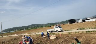 나으살던고향님의 자유주제 · 자유게시판 작성글 사진