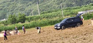 나으살던고향님의 자유주제 · 자유게시판 작성글 사진