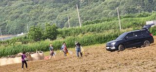 나으살던고향님의 자유주제 · 자유게시판 작성글 사진