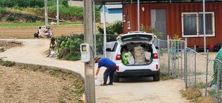 나으살던고향님의 자유주제 · 자유게시판 작성글 사진