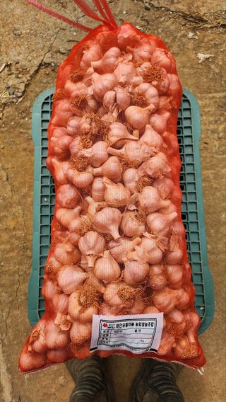 조새힘님의 작성글 사진