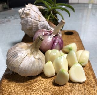 조새힘님의 작성글 사진