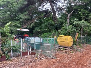 손 무현님의 들깨 · 영농일지 작성글 사진