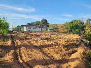 김훈님의 감자 · 영농일지 작성글 사진