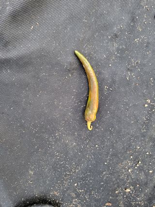 박해익님의 농사, 무엇이든 물어보세요! · 참여글 작성글 사진