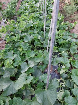 안태호님의 자유주제 · 자유게시판 작성글 사진