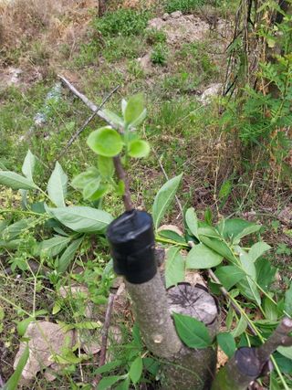 안태호님의 자유주제 · 자유게시판 작성글 사진