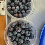 팜모닝 블루베리·영농일지 게시글 이미지