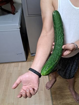 이은주(여성초보농민님의 자유주제 · 자유게시판 작성글 사진