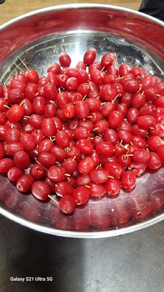 김금순자연산약초님의 자유주제 · 자유게시판 작성글 사진