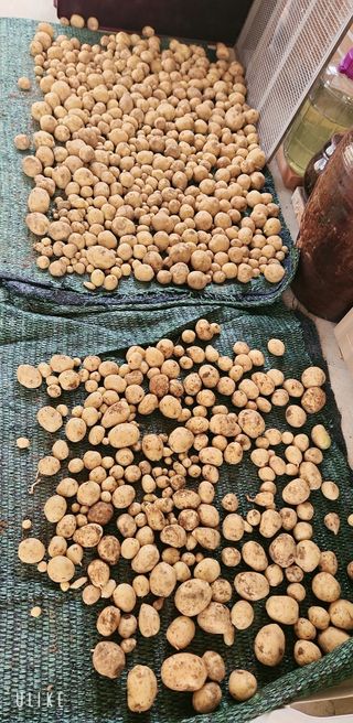 이제윤님의 자유주제 · 자유게시판 작성글 사진