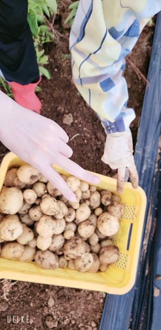 이제윤님의 자유주제 · 자유게시판 작성글 사진