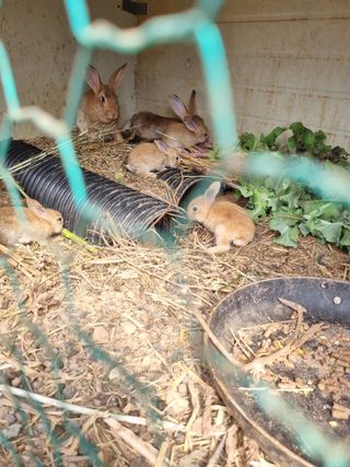 풍요님의 자유주제 · 자유게시판 작성글 사진