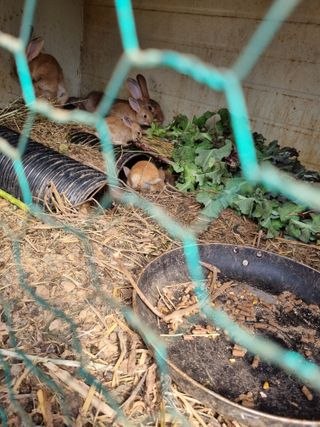 풍요님의 자유주제 · 자유게시판 작성글 사진