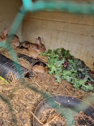 풍요님의 자유주제 · 자유게시판 작성글 사진