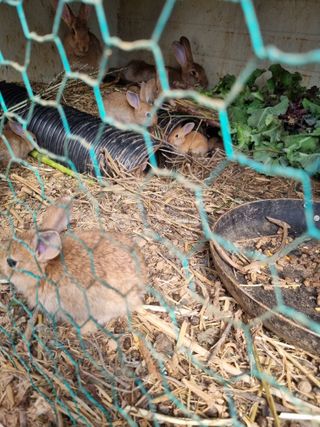 풍요님의 자유주제 · 자유게시판 작성글 사진