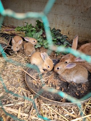 풍요님의 자유주제 · 자유게시판 작성글 사진