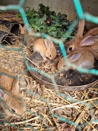 풍요님의 자유주제 · 자유게시판 작성글 사진