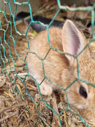 풍요님의 자유주제 · 자유게시판 작성글 사진